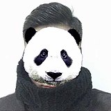 糖串教授的头像