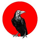 RS_Studio的头像