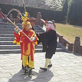 稻子zhx的头像