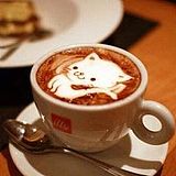 Coffee猫的头像