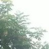 吃货妹子的旅程的头像