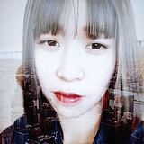 nono_y的头像