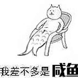 KamchaM的头像