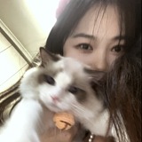 漂亮的回旋踢1121的头像