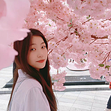 小叶子YWL的头像