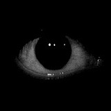 七七20的头像