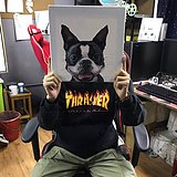 LinXinnn的头像