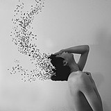 徐枫的头像