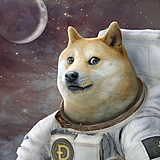 BatWooolllfff的头像