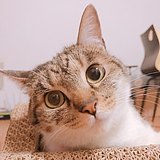 SissiMei_M的头像