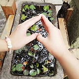 胡小莽的头像