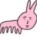 蓝蓝不是蓝蓝路的头像