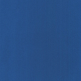 兰兰BLUEBLUE的头像