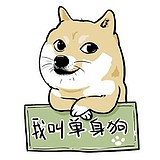 一个摄计师的头像