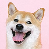肉肉做设计的头像