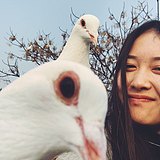 jennifer宋京的头像