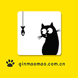 秦猫猫的头像