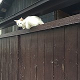 Riuxx的头像