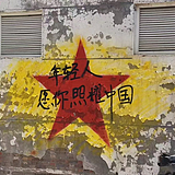 草没味呀的头像