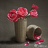 Knight_kong的头像