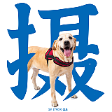 宠品摄的头像