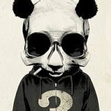 王小磊的头像