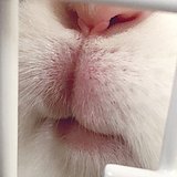 w鲨_210的头像