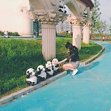染尘泥的头像