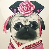 crystal_fx的头像
