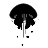 水母视觉设计的头像