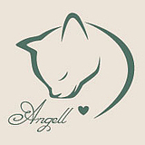 angell0的头像