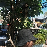 sayeonpp的头像