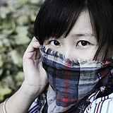feifeipq的头像