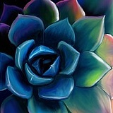 沐羽123的头像