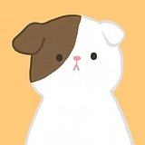 之前的头像