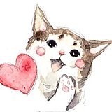 Chubbyren的头像