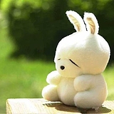 七柒1的头像