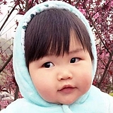 chenmeili206的头像