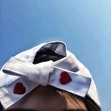 chenzehui的头像