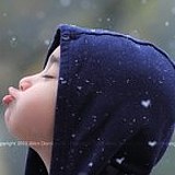 Enfant_sy的头像