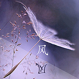 星辰醉微眠的头像