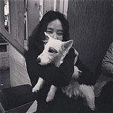 minzuki233的头像