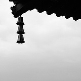 BoBo陈的头像