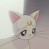 joey0711的头像
