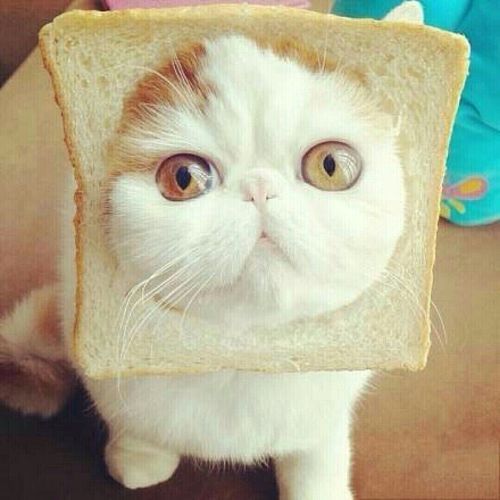 amazingd的个人主页 - 站酷 (zcool)