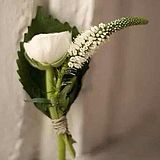 李诗丹妮儿_花艺的头像