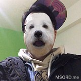 无敌大亮的头像