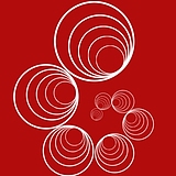 l245316118的头像
