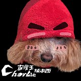 用戶頭像