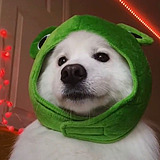 DamonLi53的头像